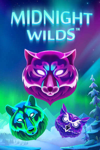Midnight Wilds